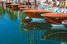 Tiger Strip Reflections
